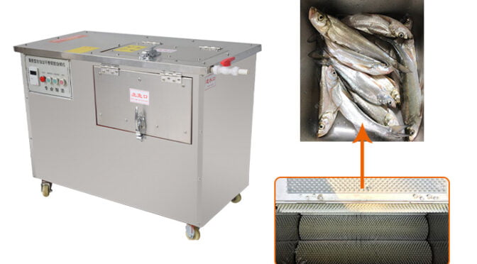 Fish Scale Remover Machine|Fish Scaling and Gutting Machine