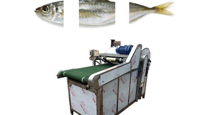Commercial fish head tail cutting machine | cutter machine