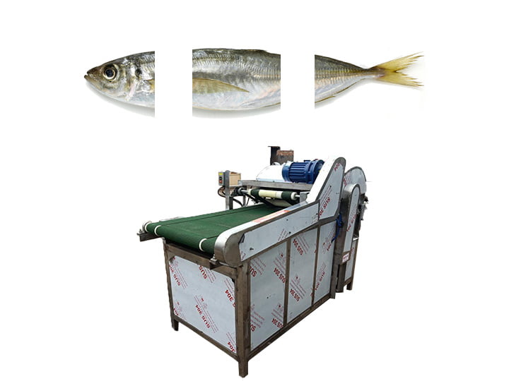 Commercial fish head and tail cutting machine