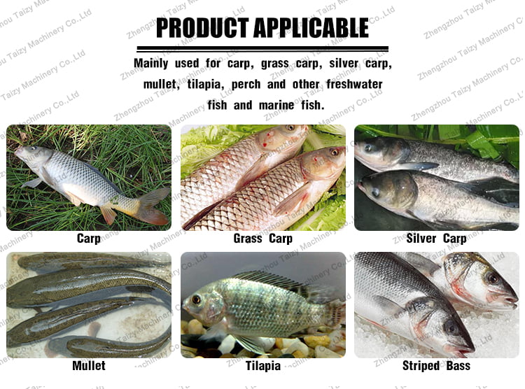 Types of fish