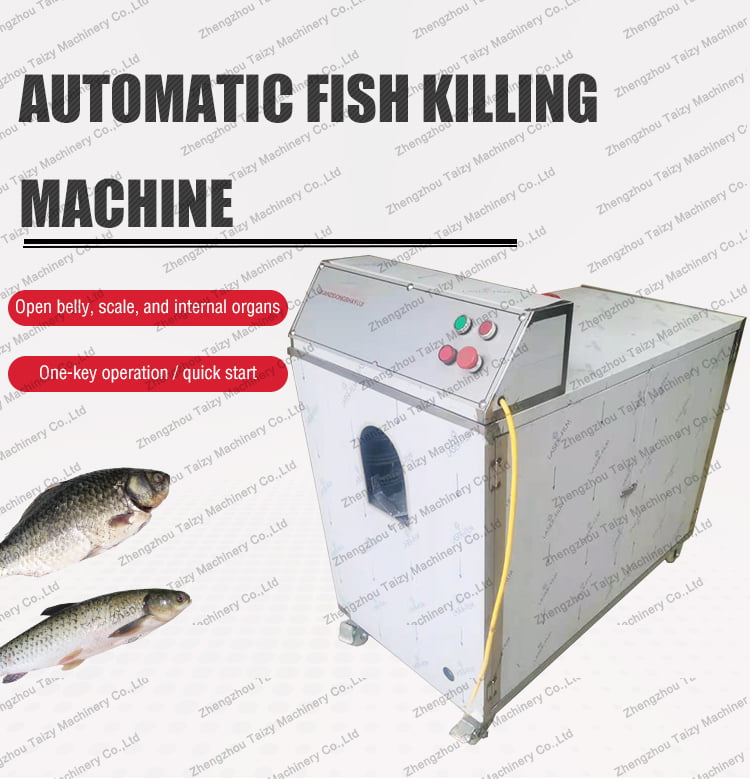 Fish killing machine