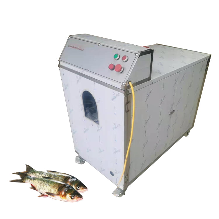 Multifunctional area fish scale removal machine