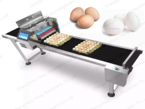 Egg printing machine | egg stamping systems