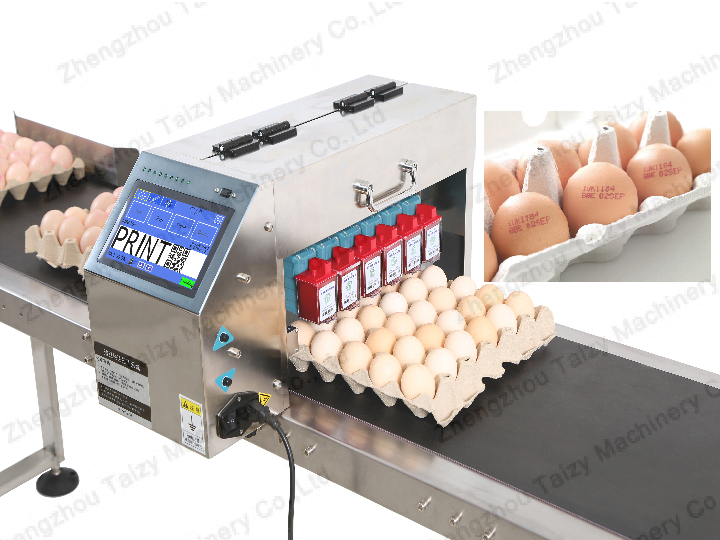 Egg printing machine