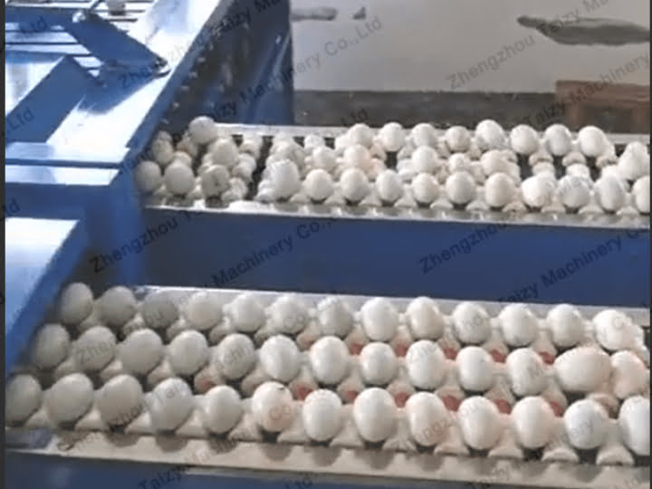 Limpe os ovos